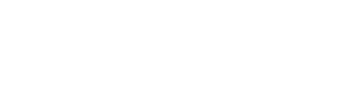 Bidderz